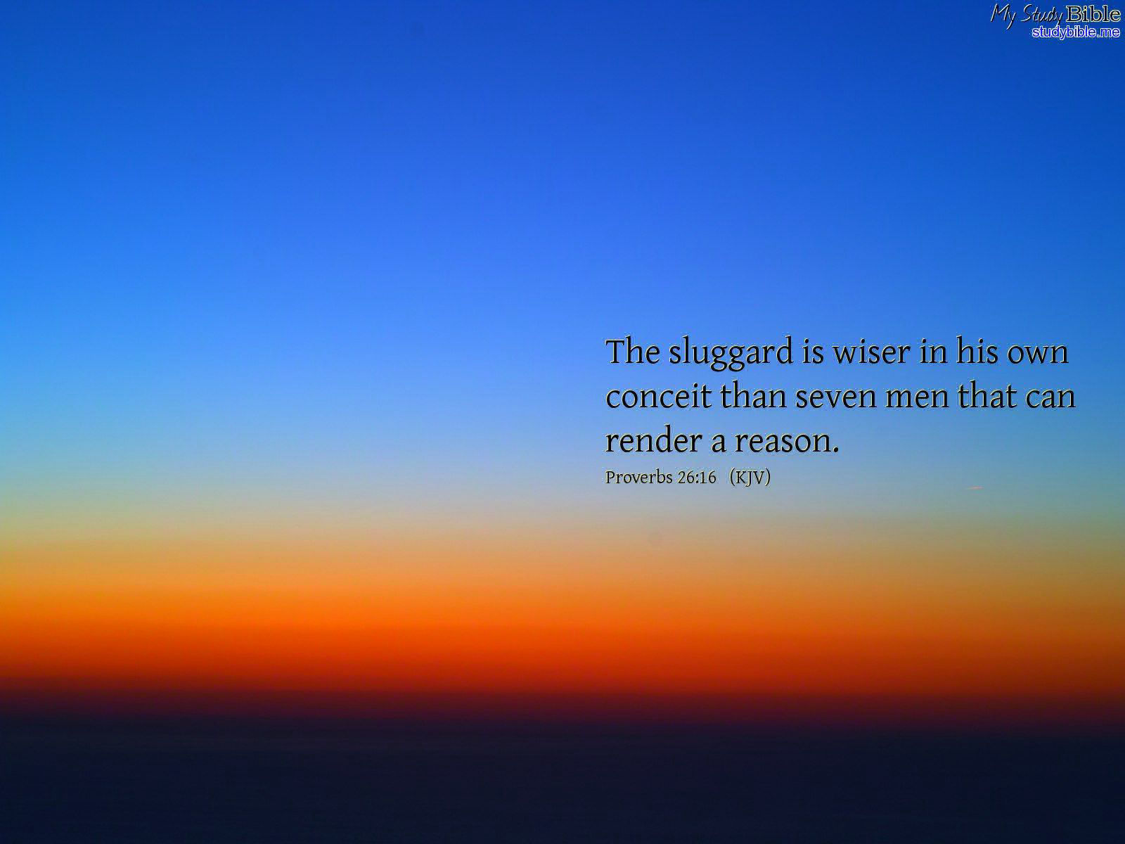 The Fiscals, Great Wall of Will