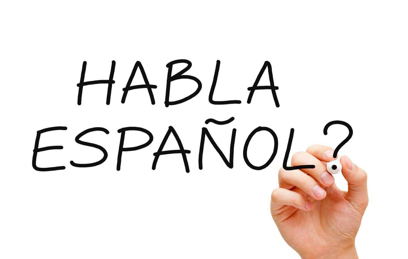 The Fiscals, Great Wall of Will